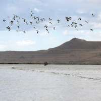 Many groups are trying to save the Great Salt Lake. Here's how they can better collaborate