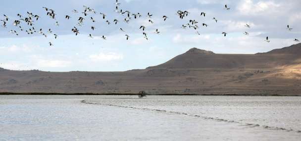 Many groups are trying to save the Great Salt Lake. Here's how they can better collaborate