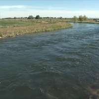 Can AI help the agriculture industry save water? 2 high schoolers in Idaho say 'yes'
