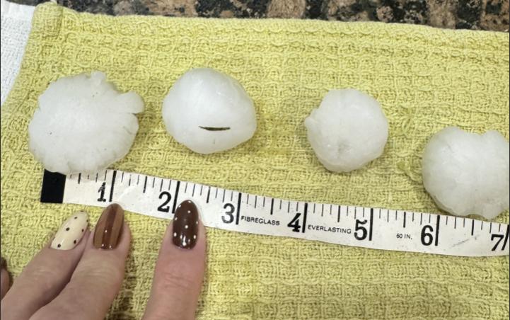 Jane Hekking, of West Kaysville, shows 1- to 1½-inch hail stones that fell during a storm Wednesday afternoon.