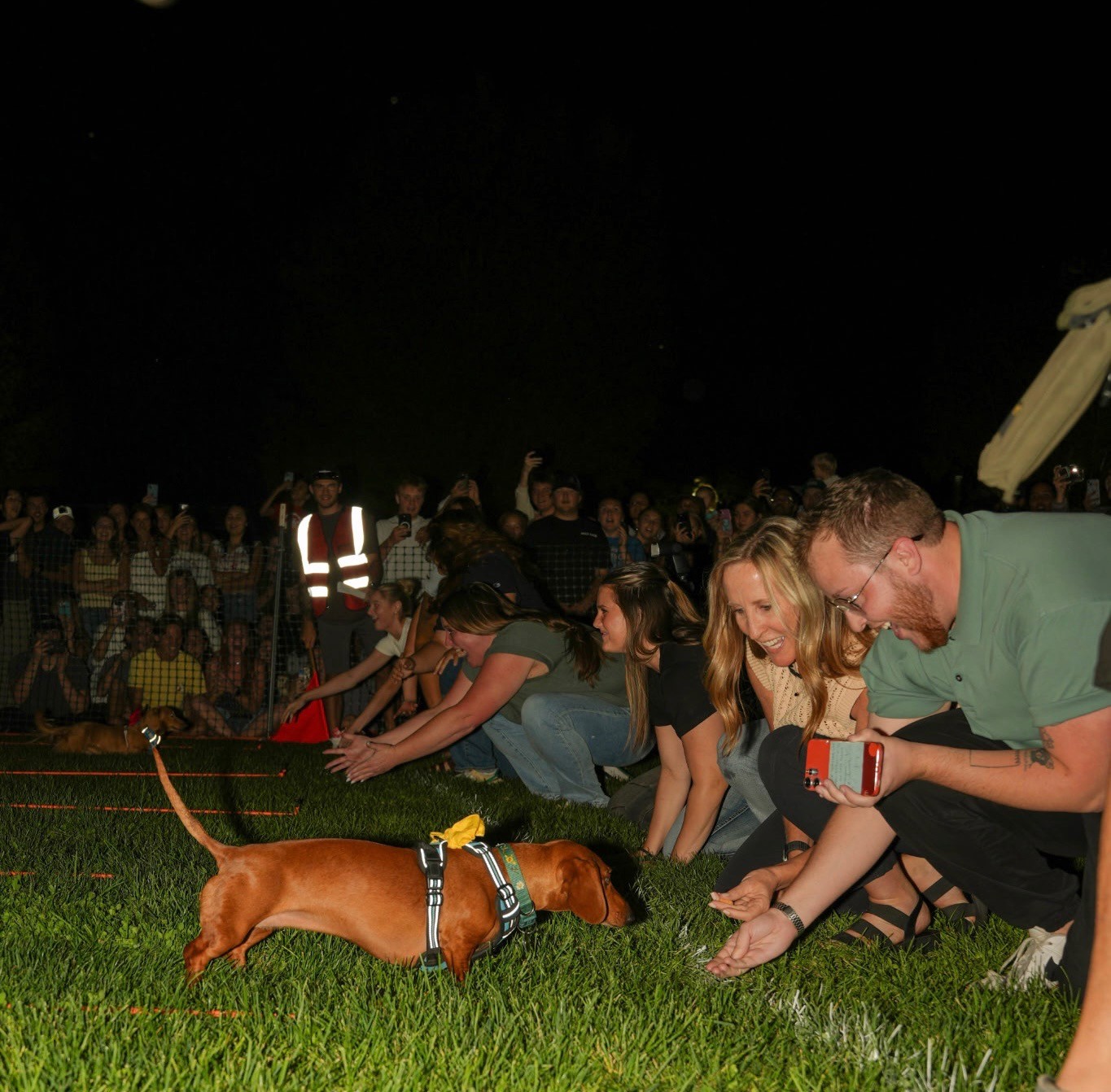 Utah Tech to hold annual 'Weenie Mania' to unite community one dachshund at a time