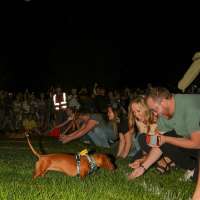 Utah Tech to hold annual 'Weenie Mania' to unite community one dachshund at a time