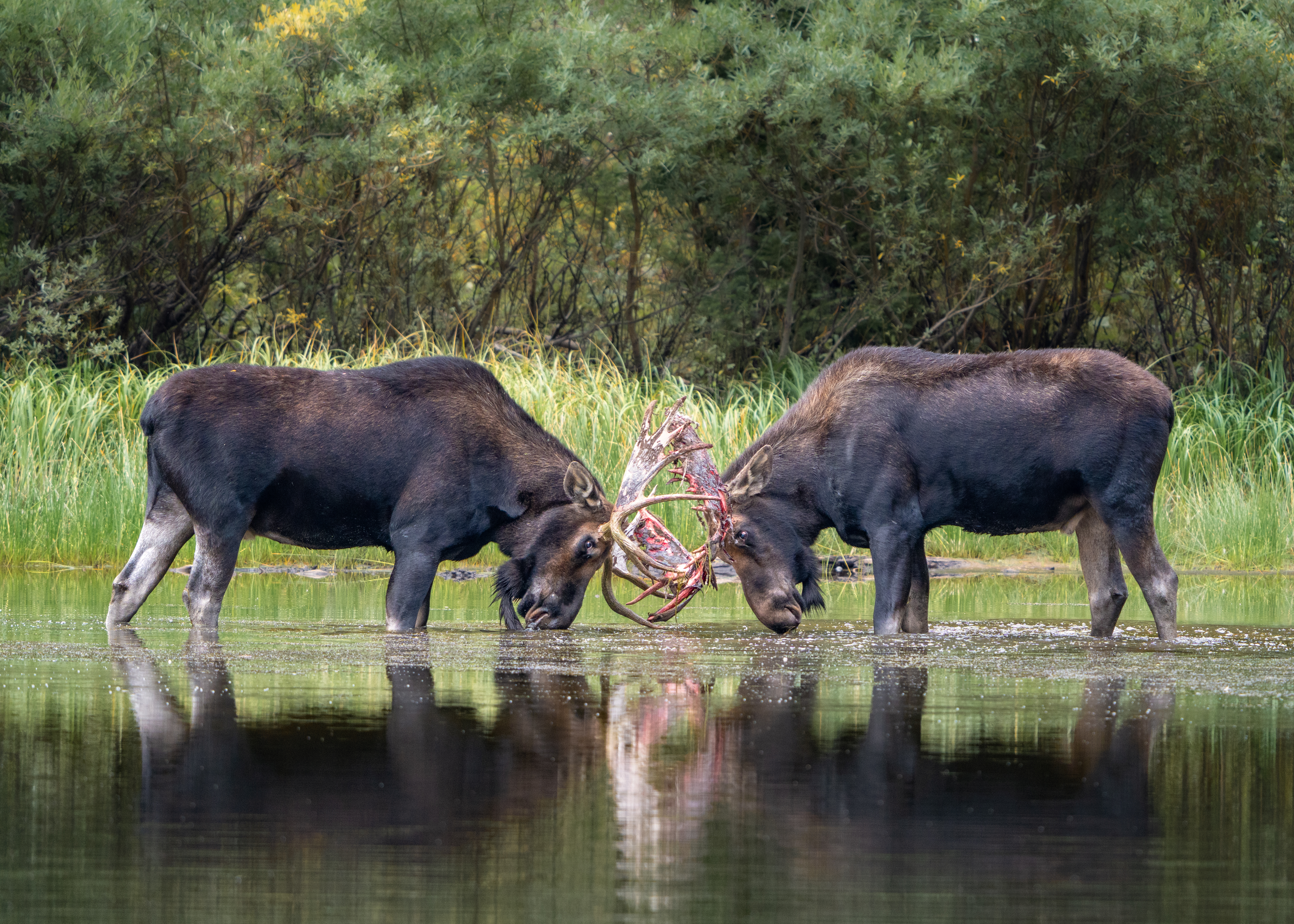 In Utah's Outdoors, one teacher discovered a passion behind the camera lens
