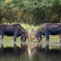 In Utah's Outdoors, one teacher discovered a passion behind the camera lens