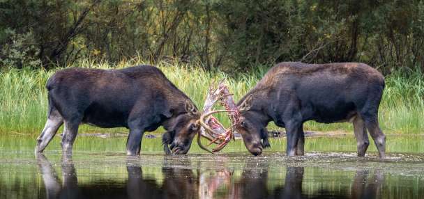 In Utah's Outdoors, one teacher discovered a passion behind the camera lens