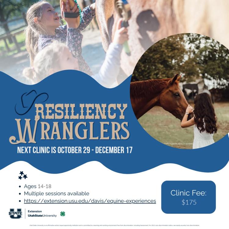 Resiliency Wranglers