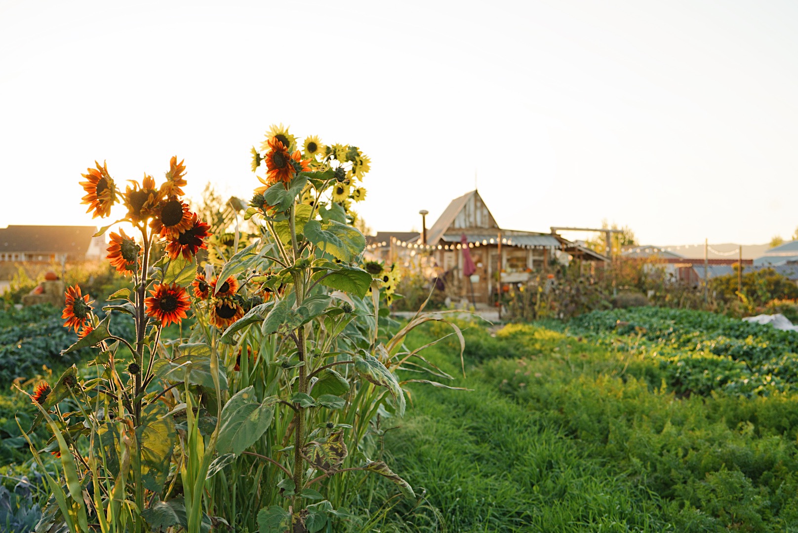 7 reasons fall is the best season to visit Cedar City