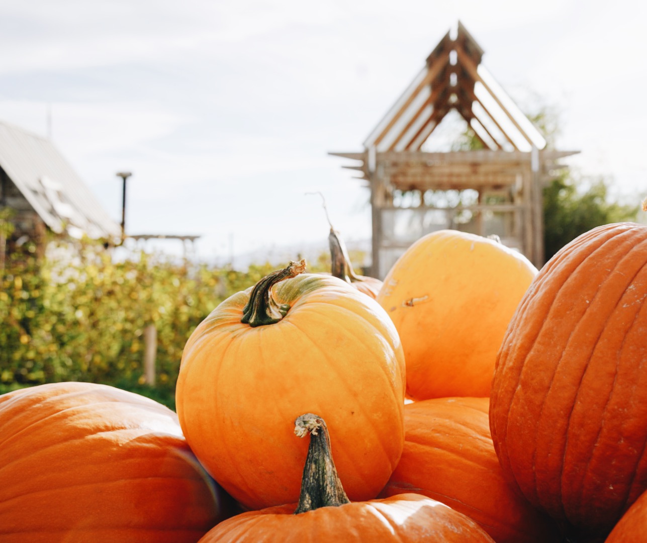 7 reasons fall is the best season to visit Cedar City