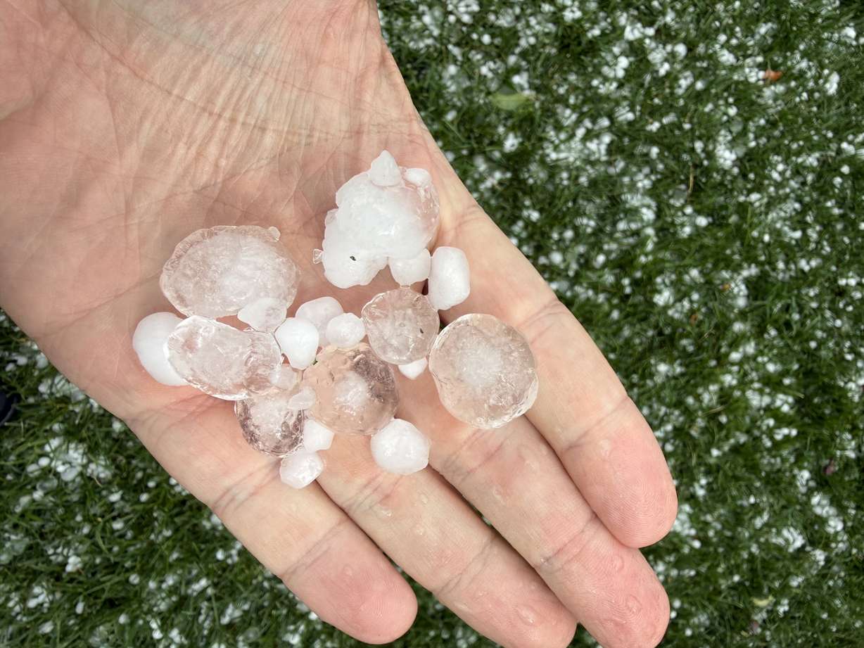 Large hail is pictured after it fell in Fruit Heights on Friday, Sept. 18, 2026.