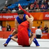 Mixed martial arts -- without the wire cage and the blood -- bids to make the Olympics