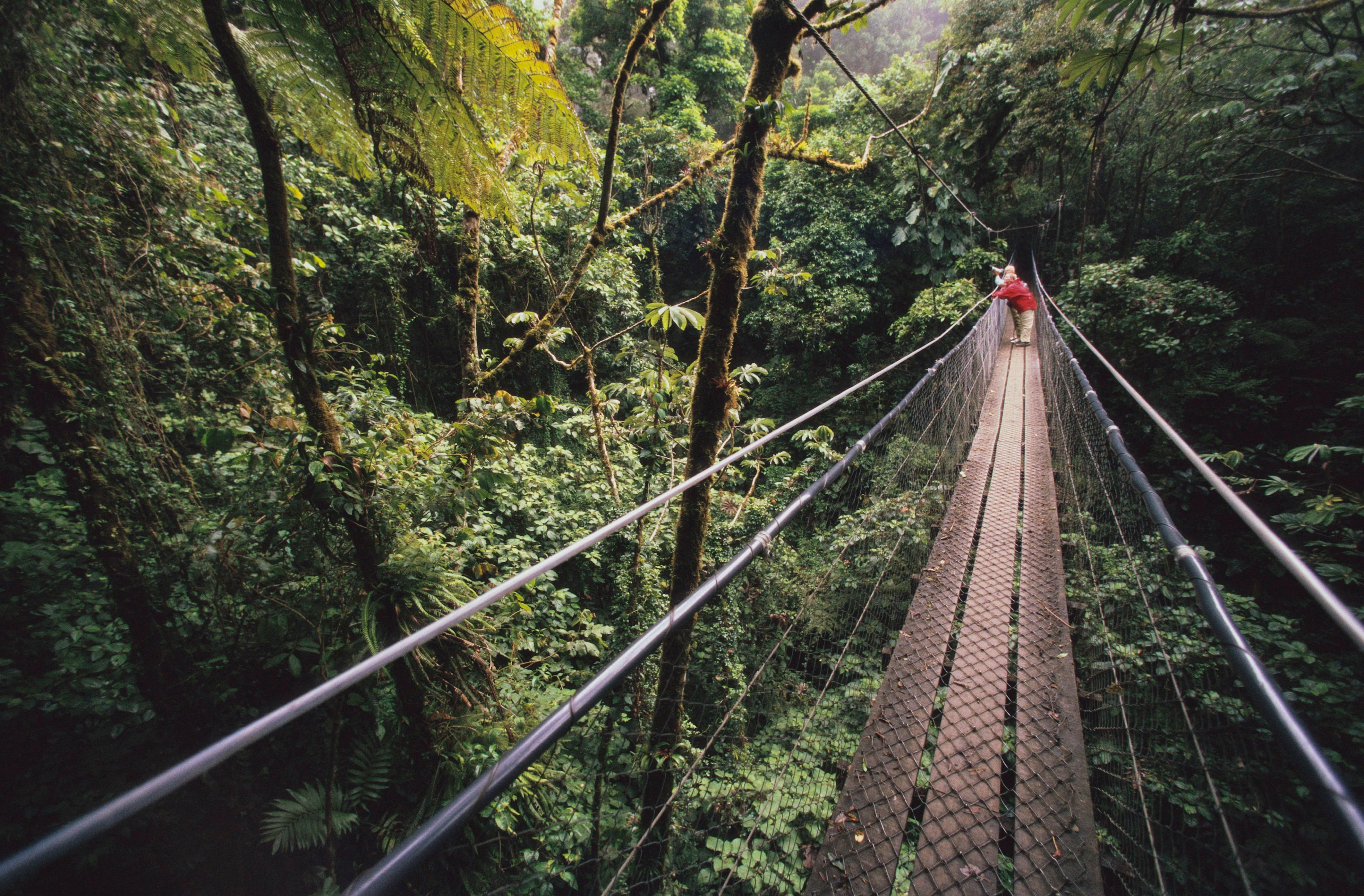 Hikers tackle the skybridge at the Monteverde Biological Cloud Forest Preserve in Costa Rica.
