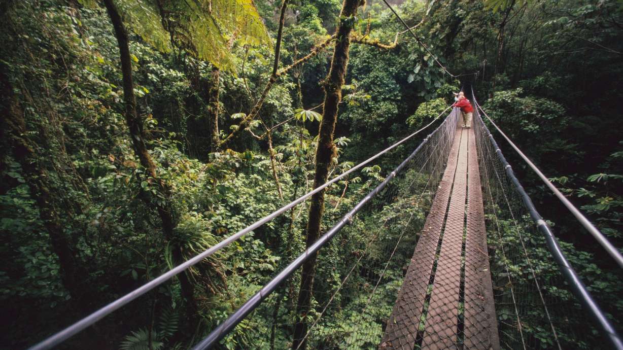 Hikers tackle the skybridge at the Monteverde Biological Cloud Forest Preserve in Costa Rica.