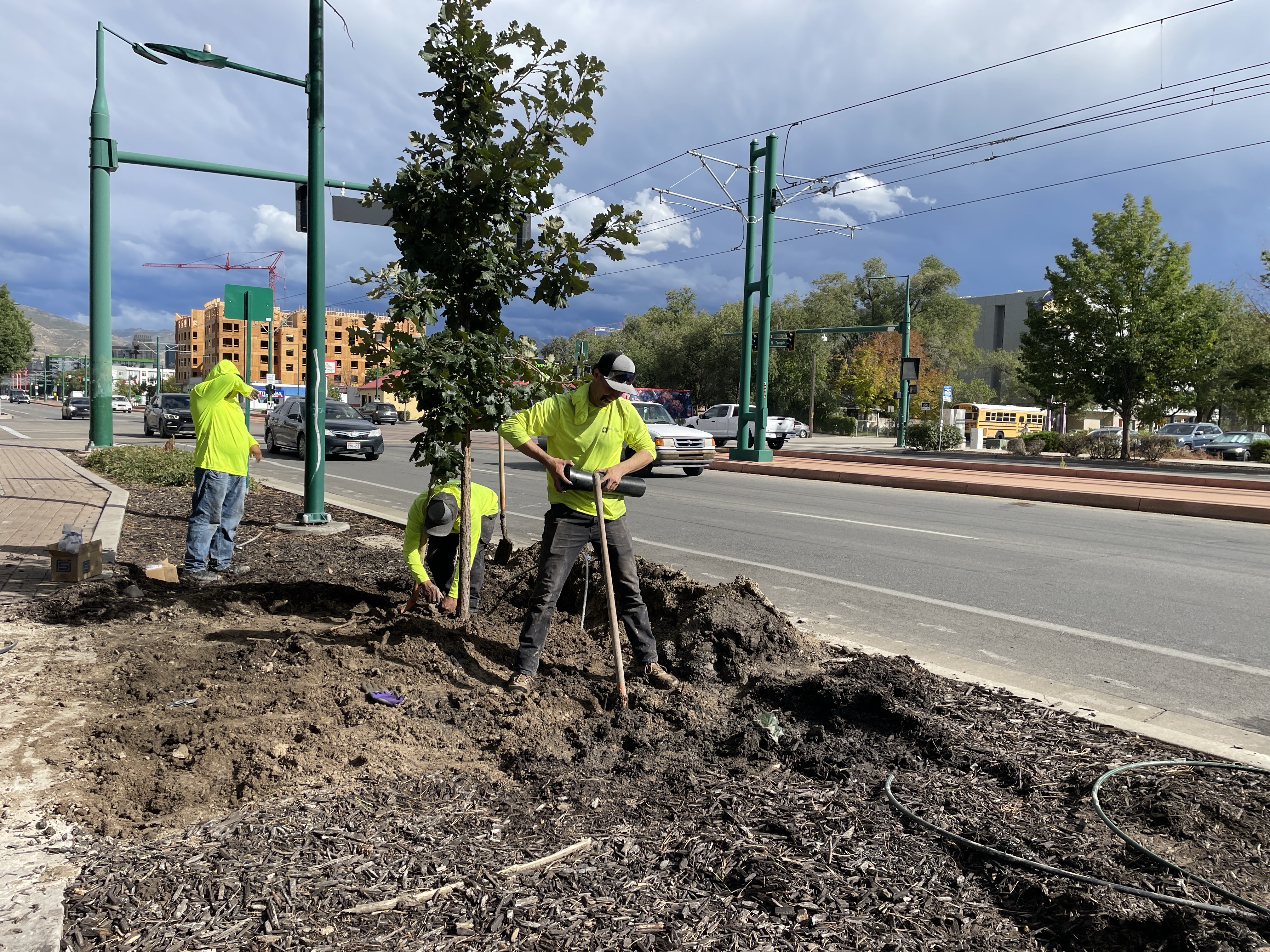 Salt Lake City close to fully replacing 200 North Temple trees lost in 2024 mishap