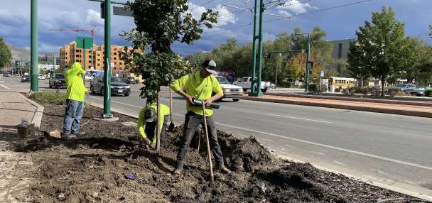 Salt Lake City close to fully replacing 200 North Temple trees lost in 2024 mishap
