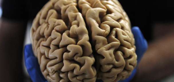 Tiny worms may help doctors treat human brain disease