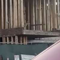 Have You Seen This? Coyotes make the noisiest neighbors