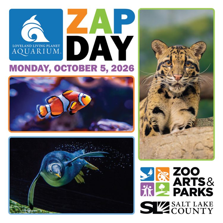 ZAP Day