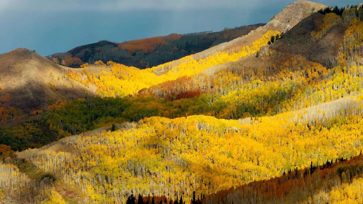 Clouds cast shadows onto the fall foliage in Big Cottonwood Canyon on Oct. 3, 2025. As fall settles in this year, seasonal closures of trails have begun.