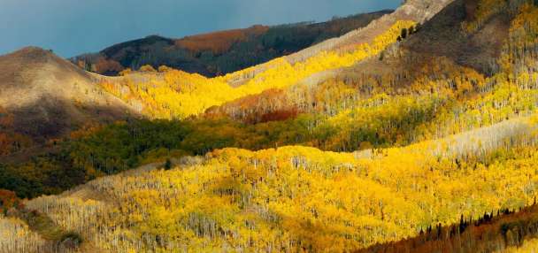 Mountain Trails Foundation announces seasonal, temporary trail closures