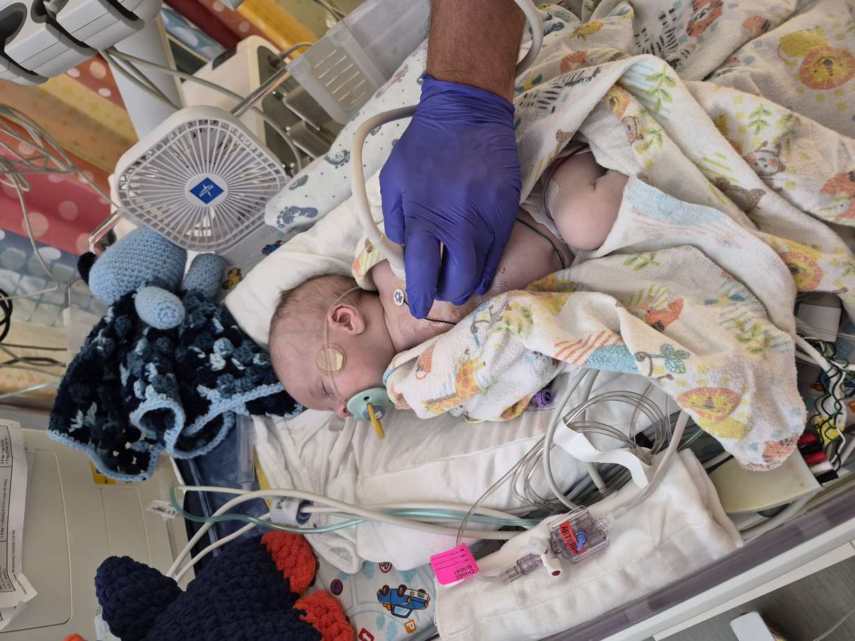 Eight-week-old Benny Halbleib is pictured in an undated photo.