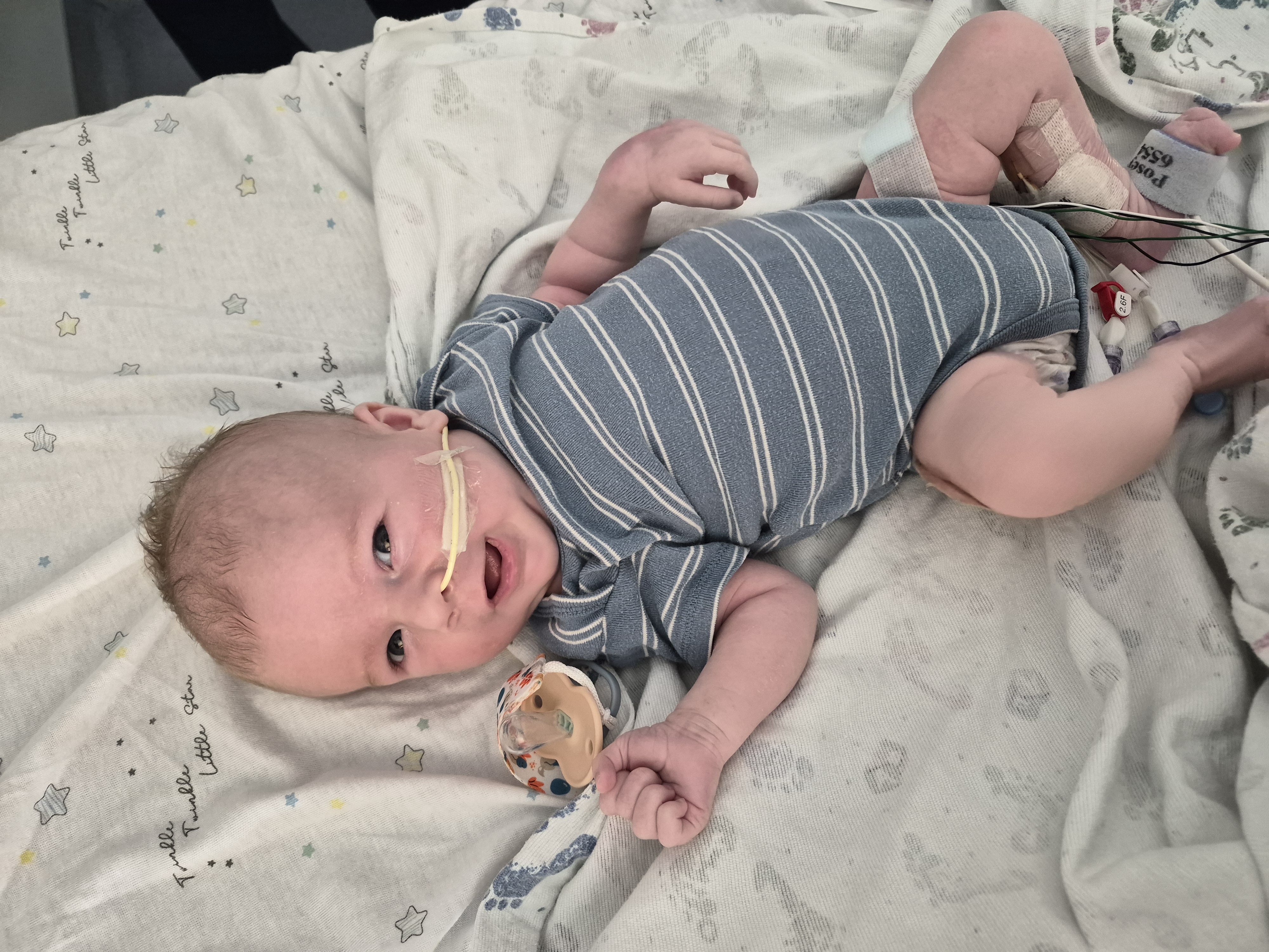 Eight-week-old Benny Halbleib is pictured in an undated photo.