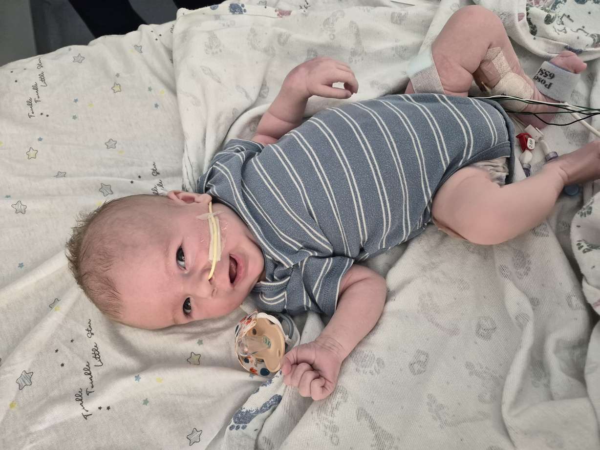 Eight-week-old Benny Halbleib is pictured in an undated photo.