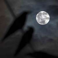 The harvest moon pairs up with Saturn for a 2-for-1 celestial display