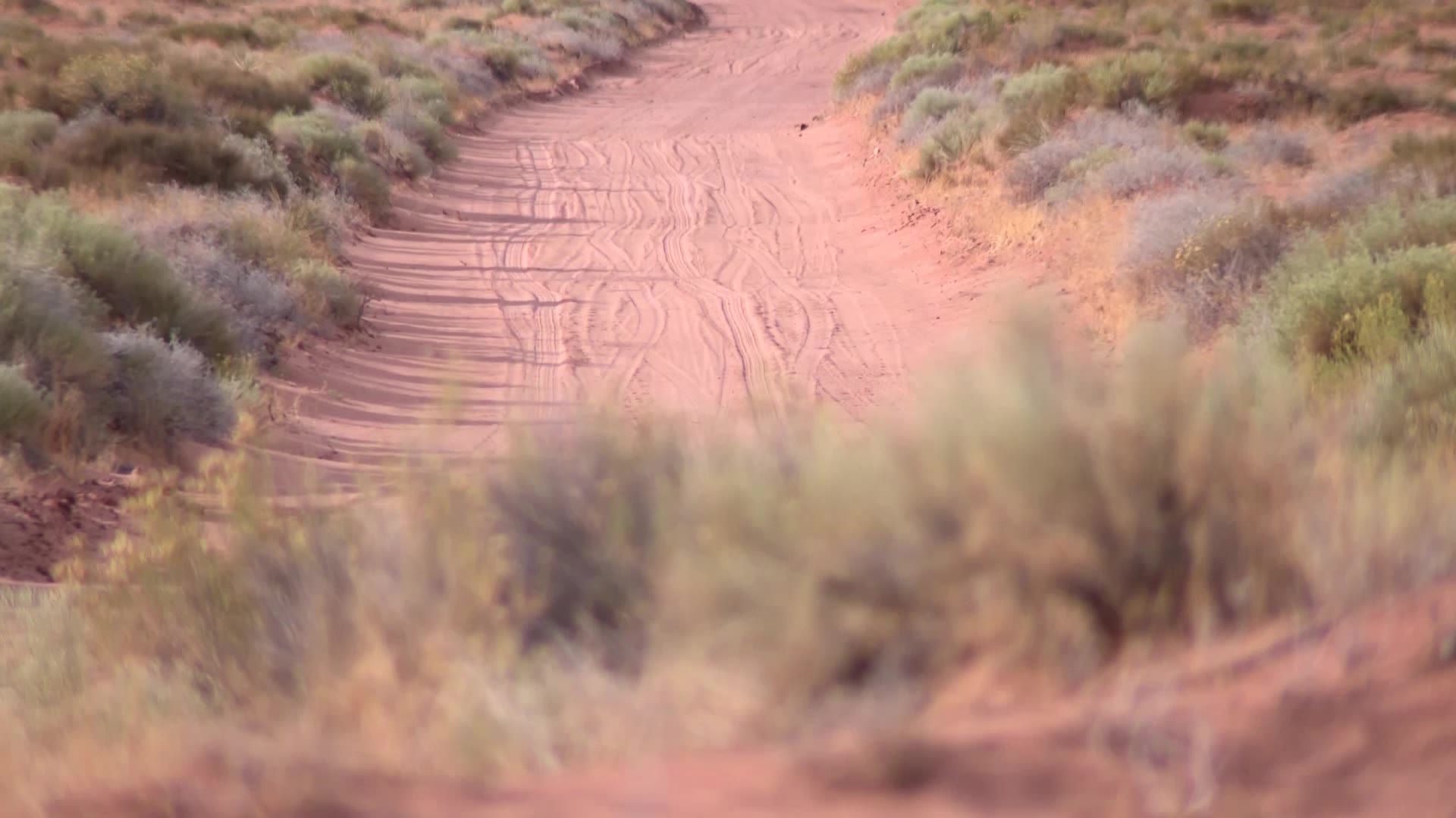 The road supposedly leading to where Ryan Tom was last seen in Red Mesa, San Juan County, Thursday. Cora Tom said the burned vehicles down in the valley supposedly near the road were gone soon afterward.