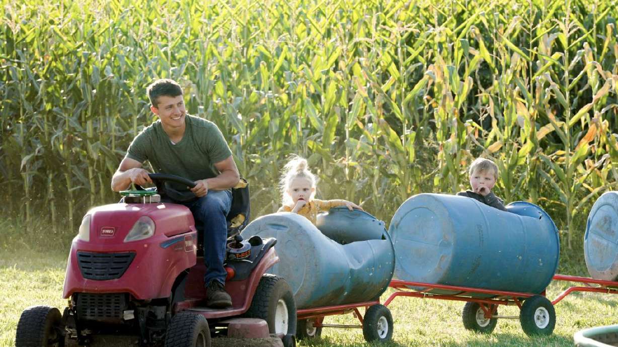 More than fall fun: How a Morgan family is helping people experience agriculture