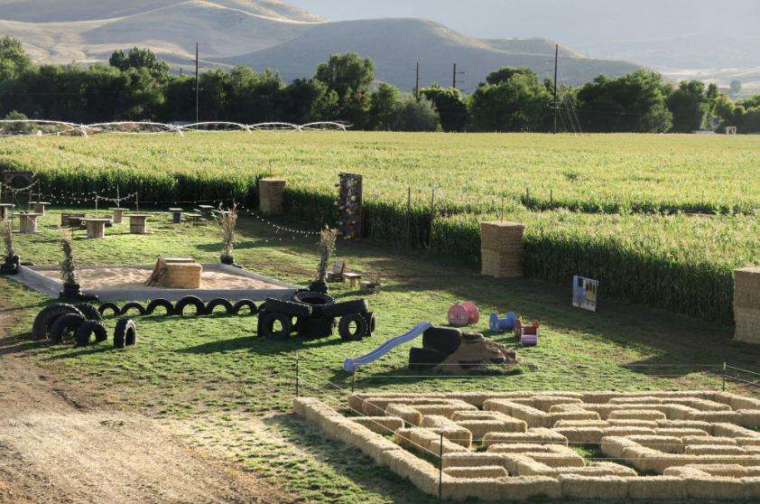 More than fall fun: How a Morgan family is helping people experience agriculture