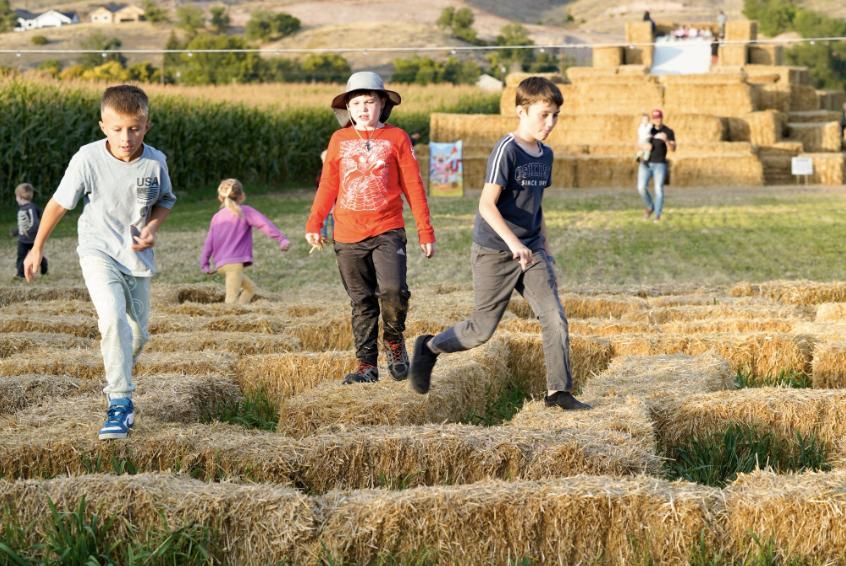 More than fall fun: How a Morgan family is helping people experience agriculture