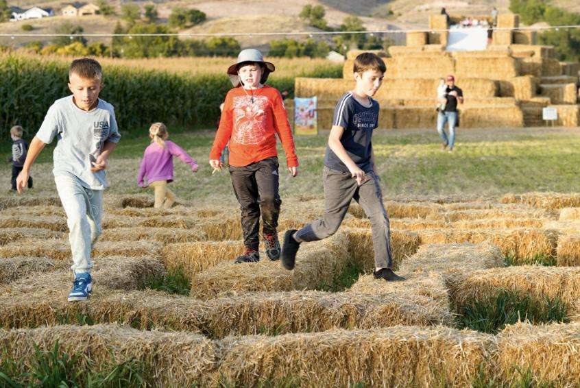 More than fall fun: How a Morgan family is helping people experience agriculture