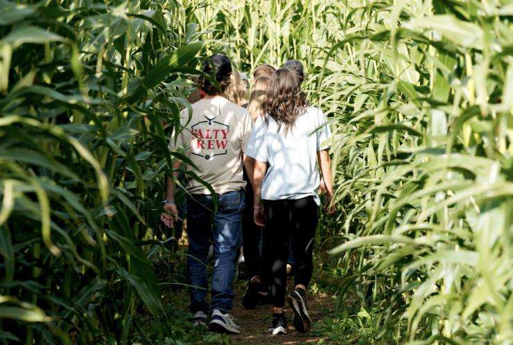 More than fall fun: How a Morgan family is helping people experience agriculture
