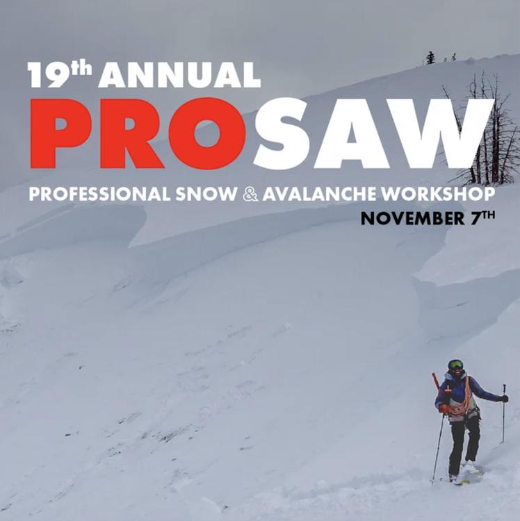 19th Annual Professional Snow and Avalanche Workshop (PROSAW)