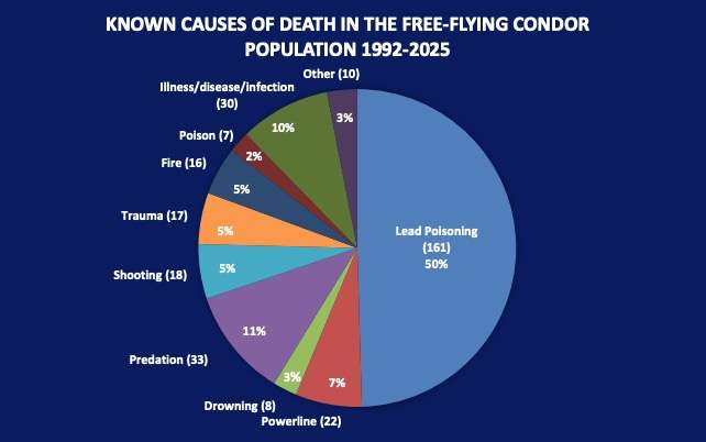 A graph of all causes of all known causes of death among wild California condor species between 1992 and 2025.