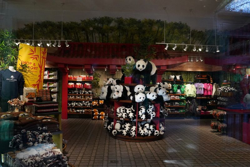 Giant pandas arrive at Zoo Atlanta for 10-year stay
