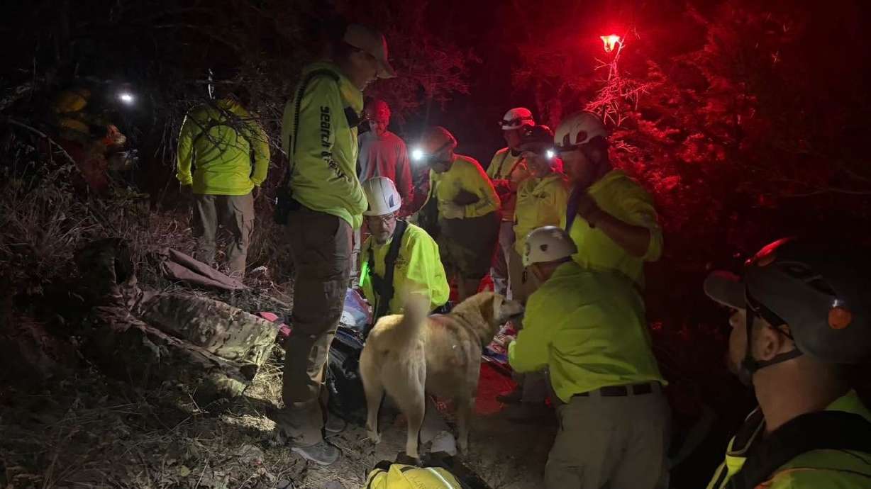 The Tooele County Search and Rescue team rescued a dog this weekend that had ventured into a mine and couldn't get back out.