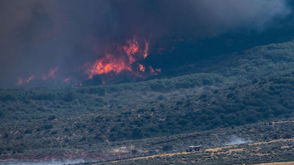 The Cottonwood Fire burned in the mountains east of Beaver on June 30, 2026. New numbers from Utah State University show that more than half a million acres burned across the state in 2026.
