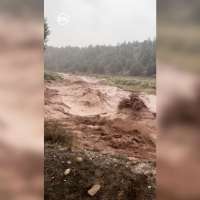 Have You Seen This? River near Mt. Carmel flooded with 10-foot waves