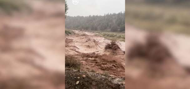 Have You Seen This? River near Mt. Carmel flooded with 10-foot waves