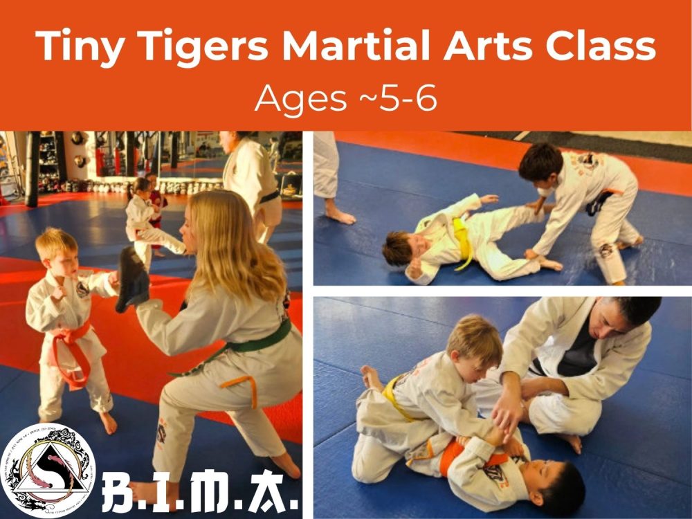 Tiny Tigers Martial Arts (Ages ~5-6)