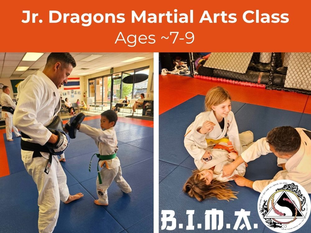 Jr. Dragons Martial Arts (Ages ~7-9)
