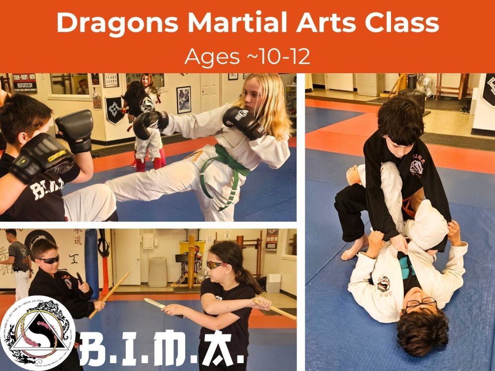 Dragons Martial Arts (Ages ~10-12)