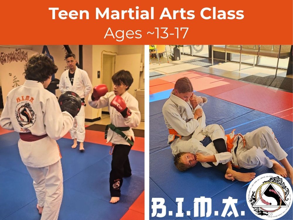 Teens Martial Arts (Ages ~13-17)