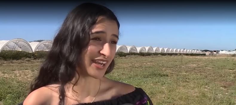 'There's wisdom here': Artist uses photography to share farmworkers' stories
