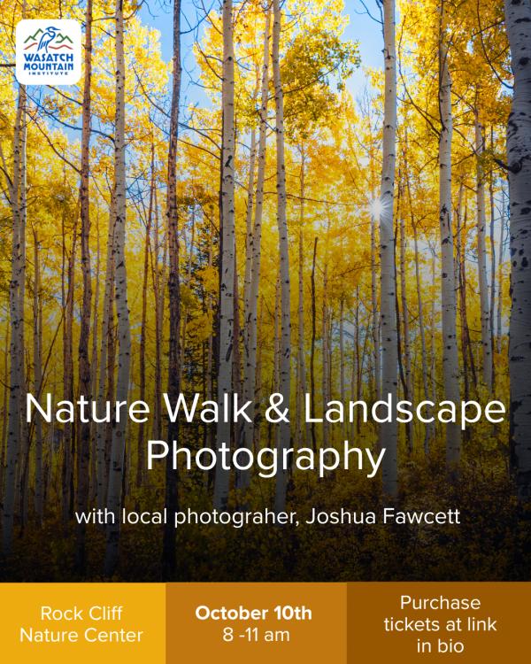 Nature Walk & Landscape Photography Workshop