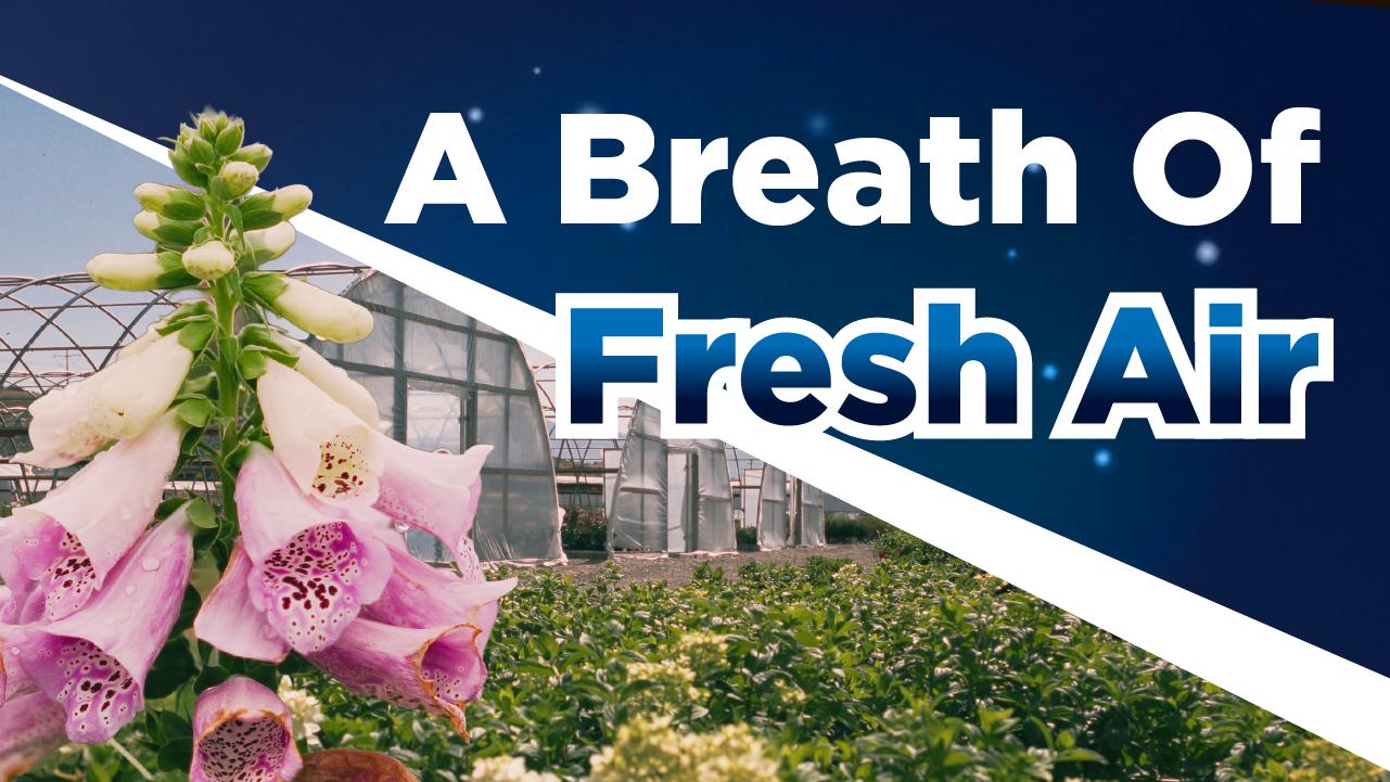Progressive Plants: Utah's 100-acre nursery grows plants for the local landscape