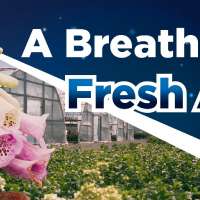 Progressive Plants: Utah's 100-acre nursery grows plants for the local landscape