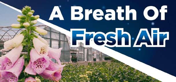 Progressive Plants: Utah's 100-acre nursery grows plants for the local landscape