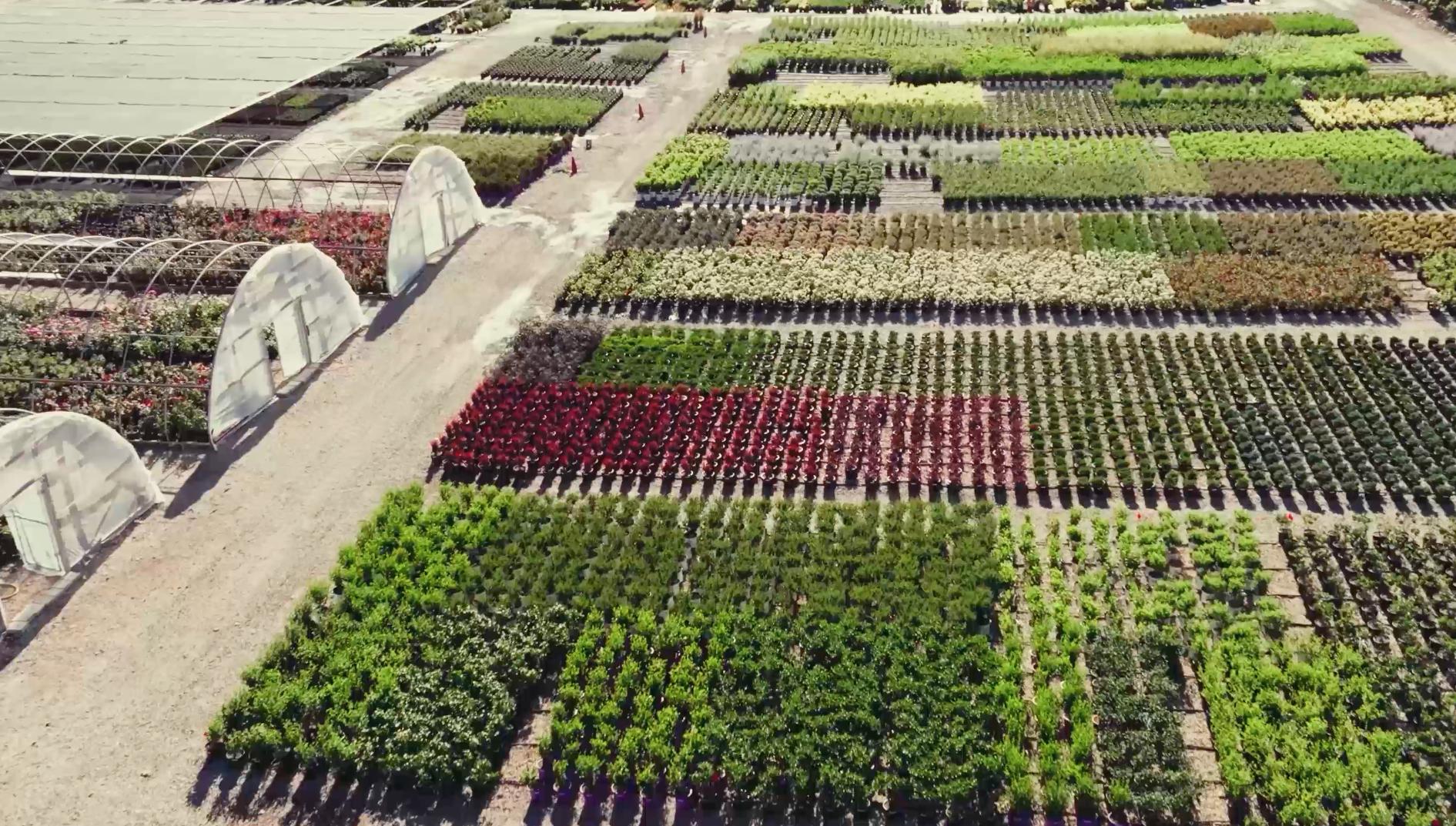 Progressive Plants, located at 10252 Bacchus Highway in Copperton, occupies 101 acres for growing plants.